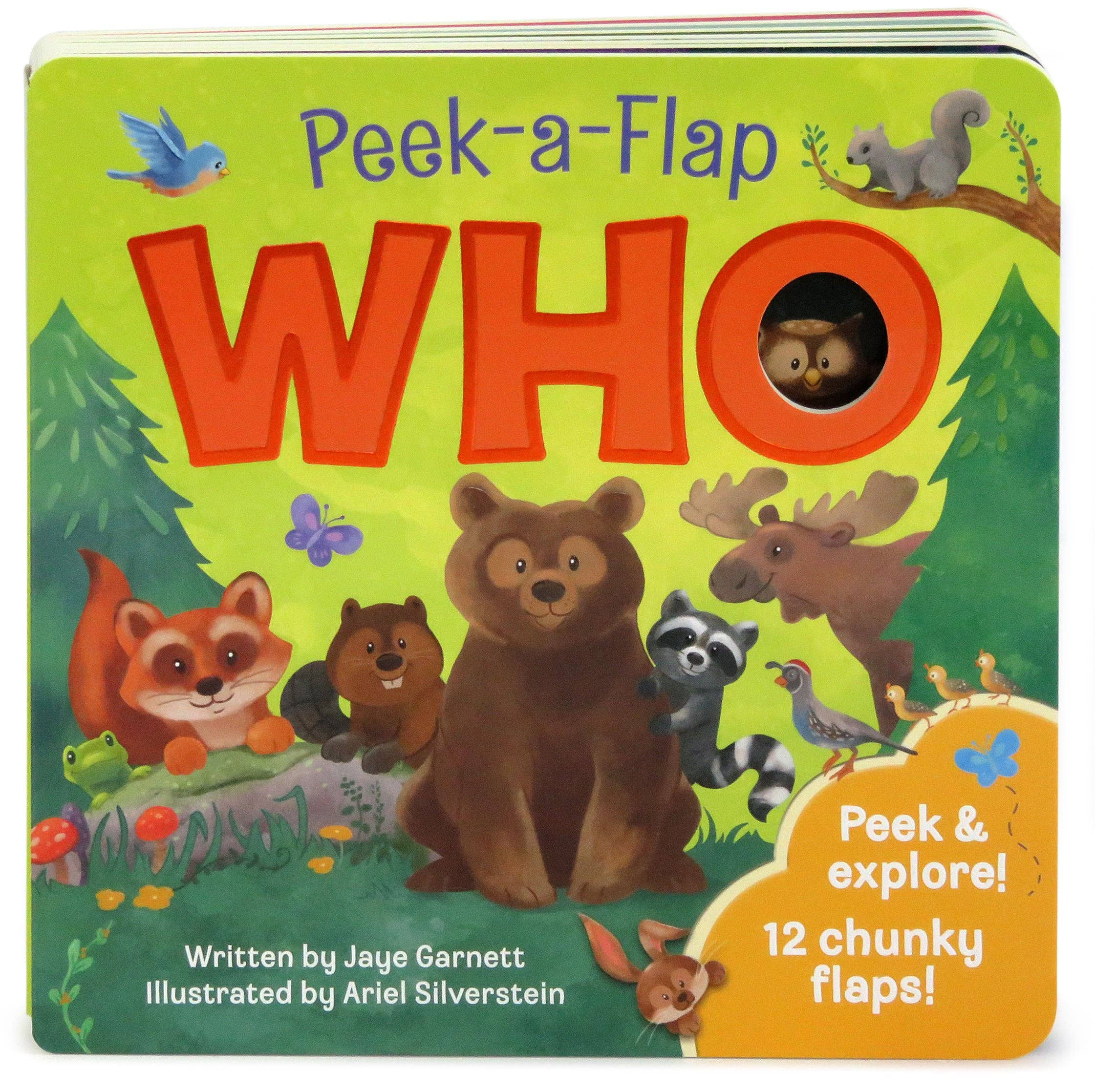 Who Interactive Lift a Flap Board Book