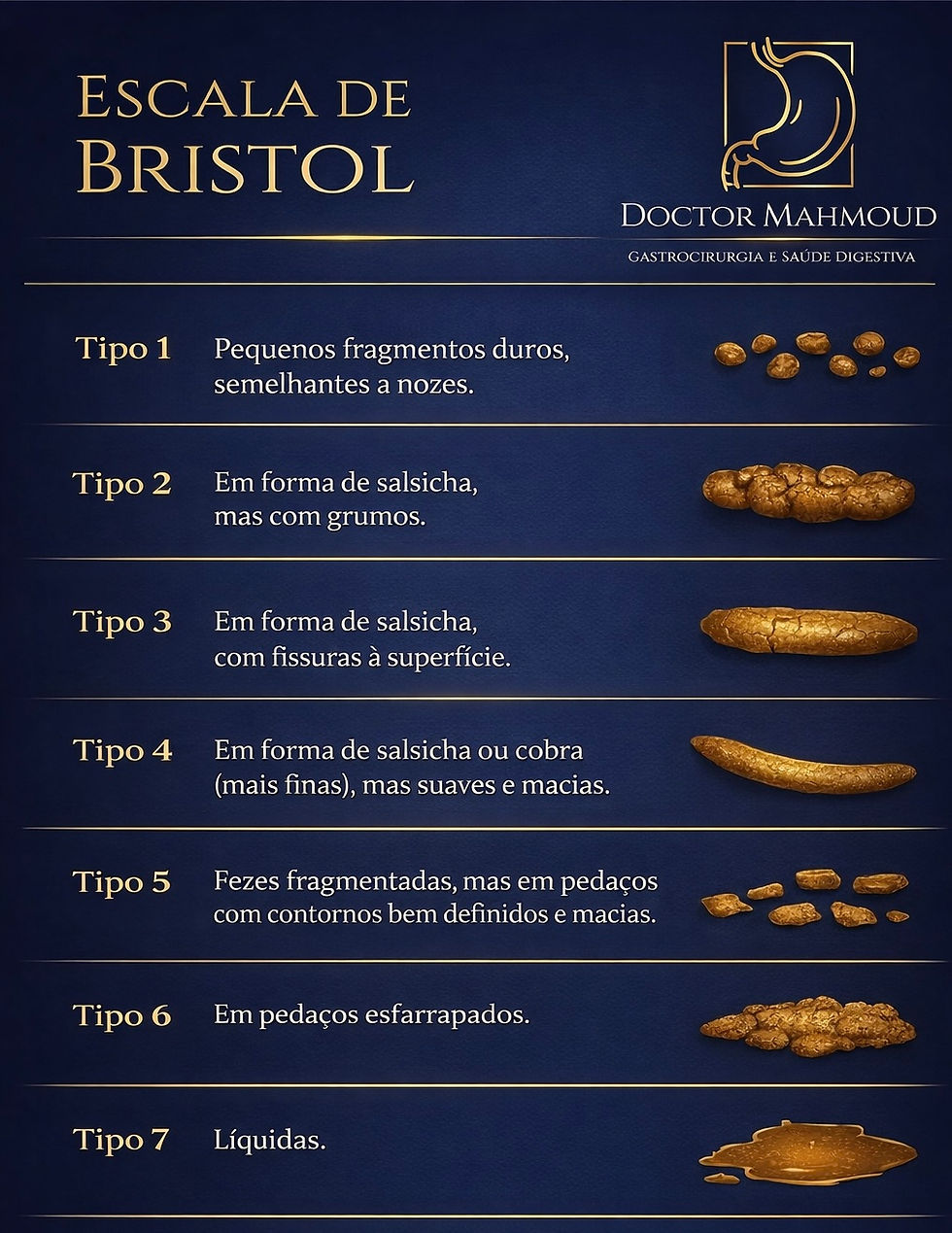 Entendendo a Escala de Bristol das Fezes: O Que Ela Revela Sobre a Sua Saúde Digestiva