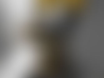 Entrevista a Alicia Namber