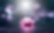Pink lotus flower in water with sunshine .jpg