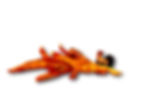 Chicken Feet