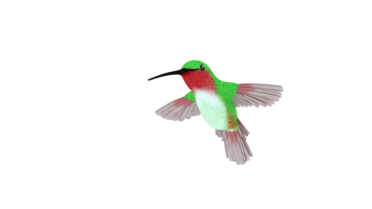 Hummingbird