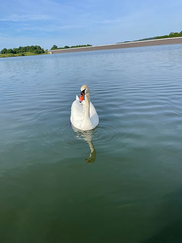 IMG_6254.JPG