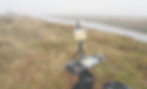 Photo of Liesel Lund's oil painting easel set up outdoors, in the long grass, near a creek on a very foggy day.