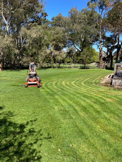 lawn mowing balnarring