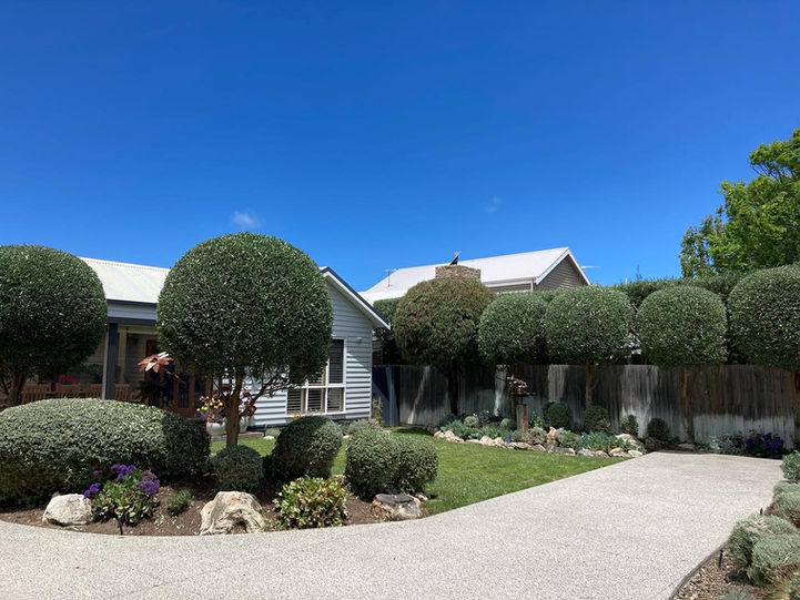 hedging mornington peninsula