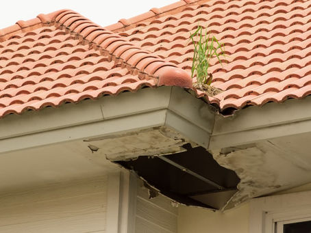 Summer Maintenance Roofing Tips