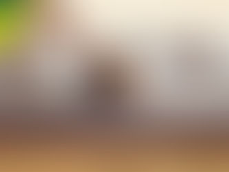Should I Finance My New Roof?