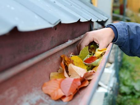 3 Fall Maintenance Tips for Your Roof