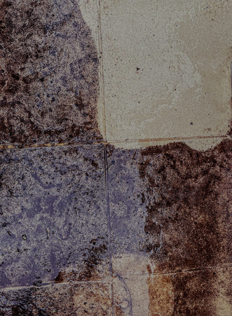 facade cleaning Monaco, facade cleaning Nice, facade renovation Monaco, facade renovation Nice