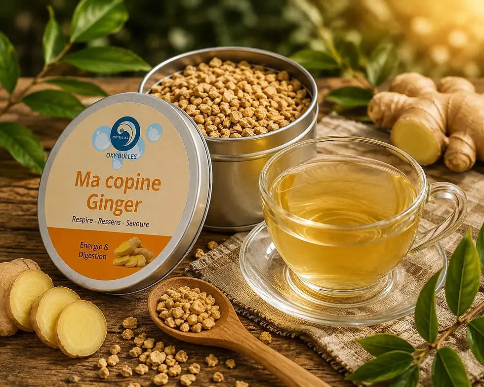 Miniature : Ma copine Ginger