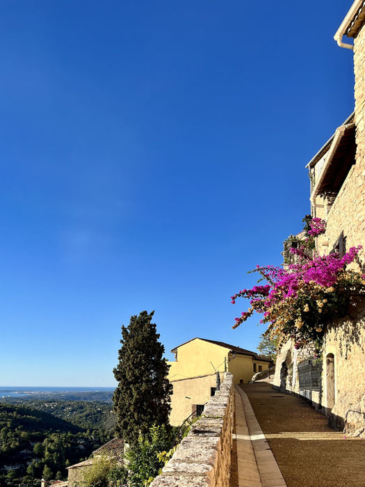 yoga retreat, yoga retreats, yoga retreat france, yoga retreat south france, yoga retreat in french riviera