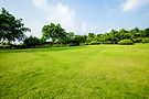 grassland-landscape-greening-environment-park-background.jpg