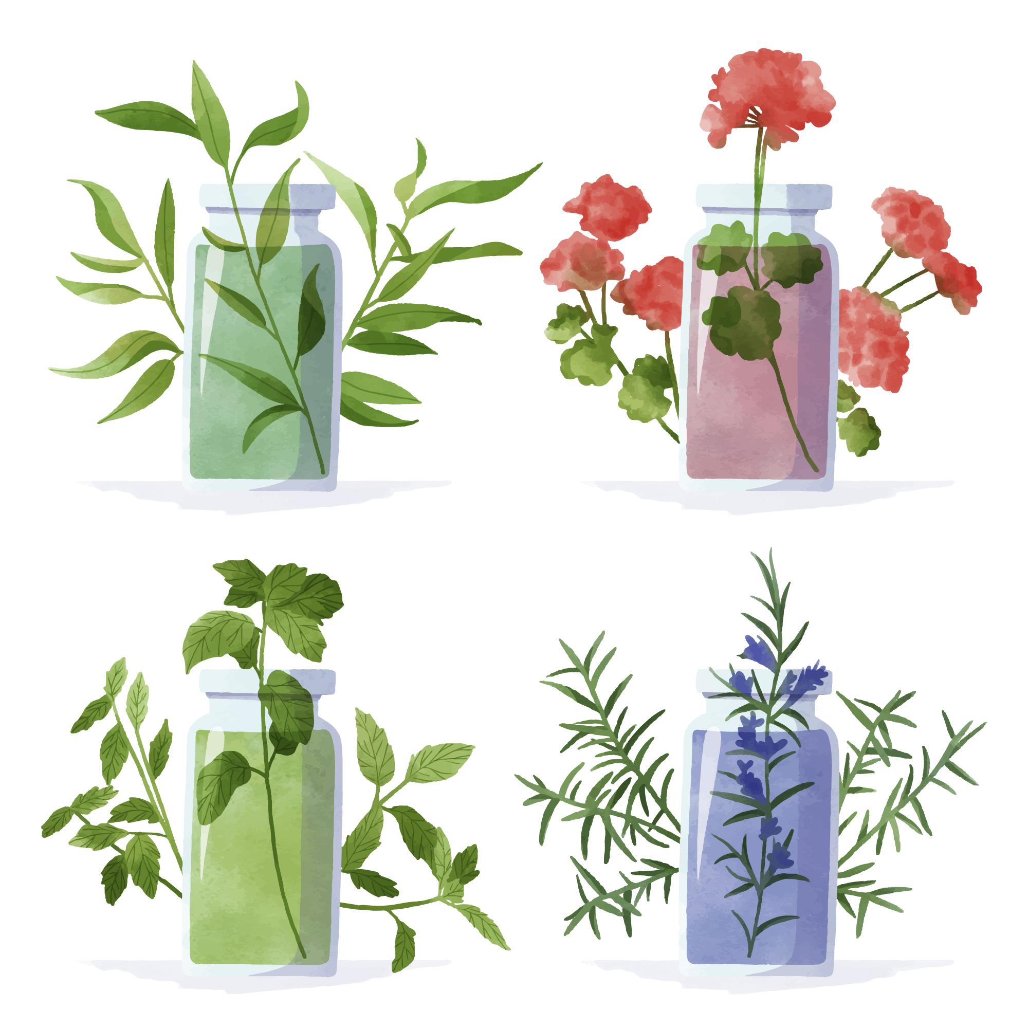 Illustration de l’article