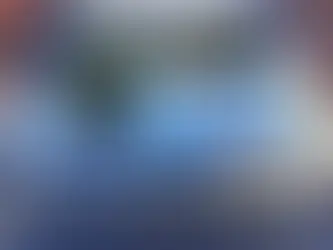 Remplacement de fenêtre de toit Velux avec étanchéité à Cannes