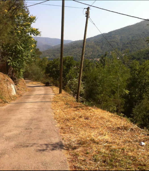 elagage nice, debroussaillage nice, entretien jardins nice, entretien jardin 06, élagage 06, entretien jardin gattieres, debroussaillage gattieres, abattage arbre nice, élagage vence, entretien jardins vence, jardinier nice, jardinier gattieres