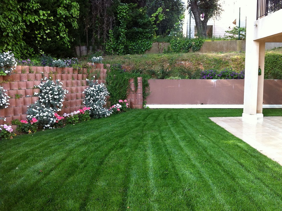 Pelouse tondue avec bandes régulières par un jardinier professionnel RSL Espace Vert