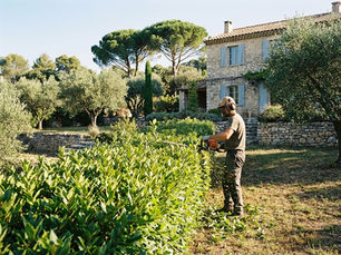 Quand tailler les haies dans le 06 : périodes et conseils