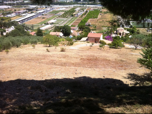 Terrain en pente débroussaillé à Saint-Jeannet, oliveraie et vue sur la plaine agricole du Var