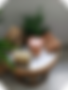imageonline-co-roundcorner.png