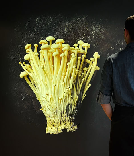 Culinary creations by private chef Pierre Erhart – bespoke seasonal cuisine