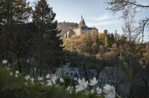 photographe Luxembourg, vidéaste Metz