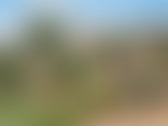 Aménagement de jardin méditerranéen en cours de réalisation dans les Alpes-Maritimes – RSL Espace Vert À dessein, cette scène (chantier en cours, pas de vue mer) est différente de celle de Saint-Laurent-du-Var (jardin fini, piscine, vue mer) — deux visuels trop proches sur deux pages différentes peuvent nuire à l'indexation image de chacune.