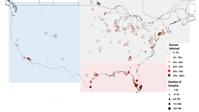 Newsletter final 1.jpg