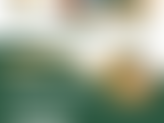 Semana da Alimentação Saudável