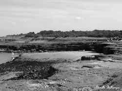 Côte de l'Ile d'Aix