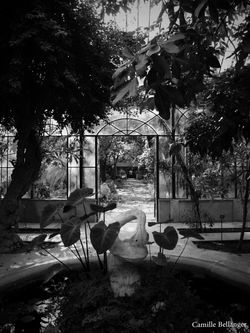 Orto botanico