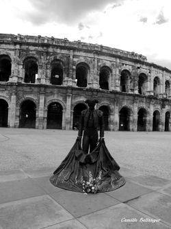 Les Arènes de Nimes