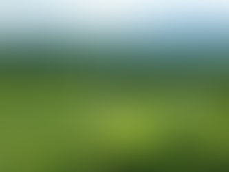 Discovering Veritas Vineyards: A Gem in Virginia's Wine Country