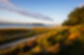 SunRise+MayRiver+Pisces+Tourist-12.jpg