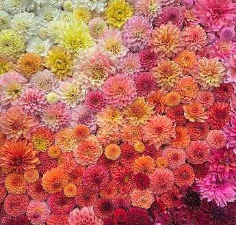 Screenshot 2025-10-10 at 9.12_edited.jpg