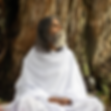 Yogi bishwanath.png