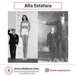 Alta Estatura