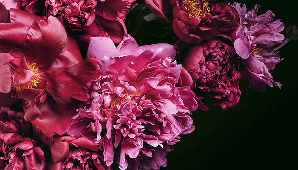 Untitled design (3).png
