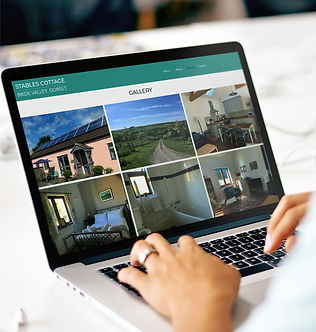 Website page mockup on a laptop design on WIX by Wild Apple Design