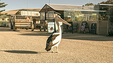 Museum (6)_edited.jpg