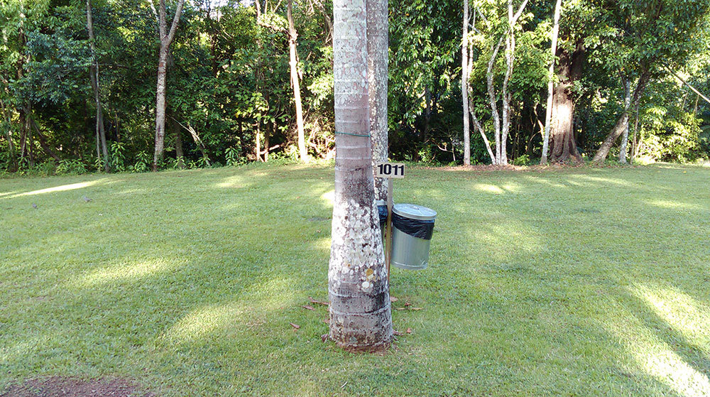 Unpowered Site Double Endeavour Falls Park