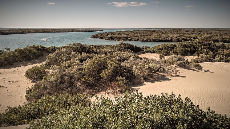 Davenport Creek © Steve Milner_edited.jpg