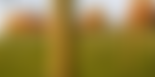 Post and wire fencing for livestock