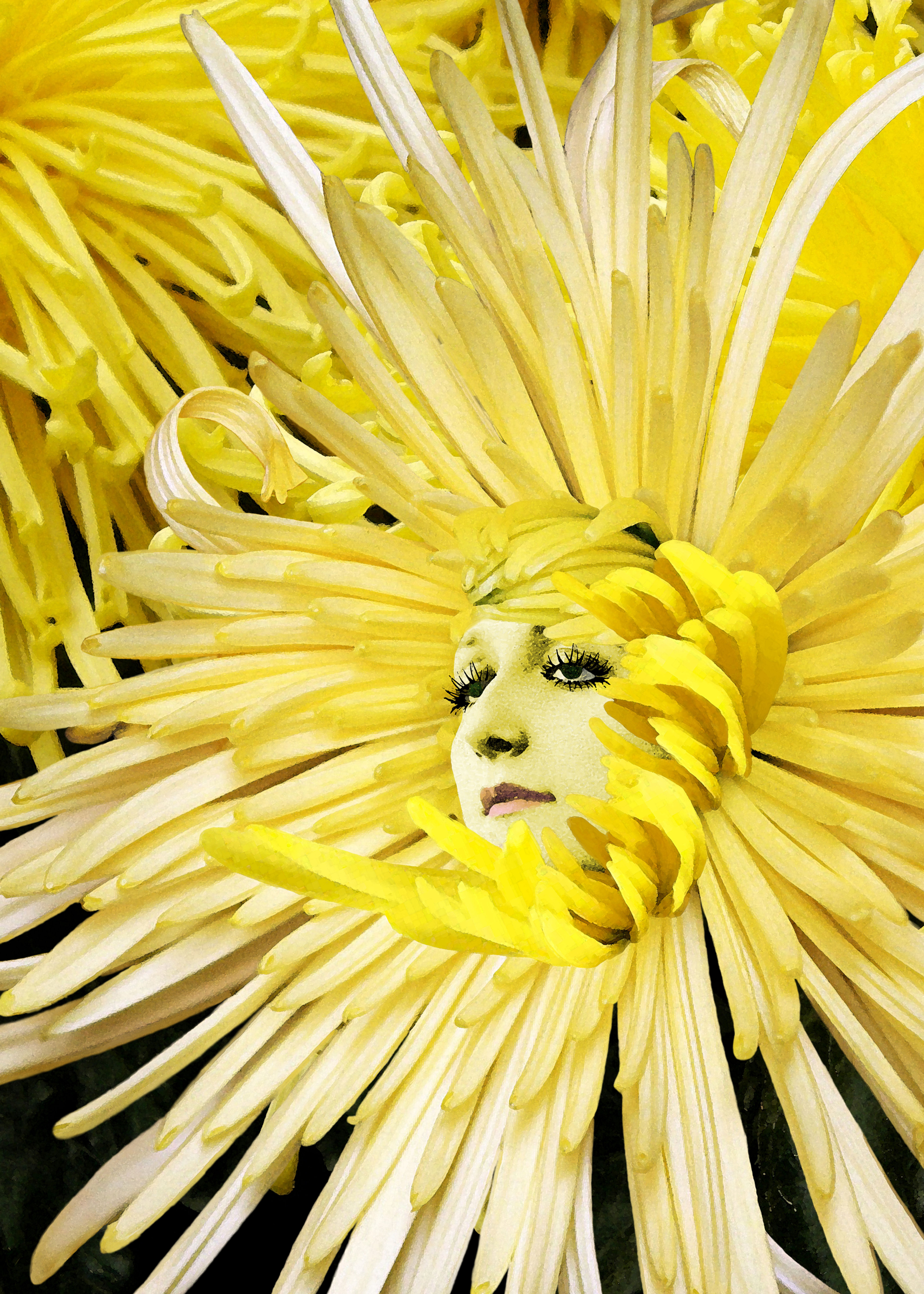 Yellow CHRYSANTHEMUM floral Goddess aka Surreal Spider Mum Human Woman Flower