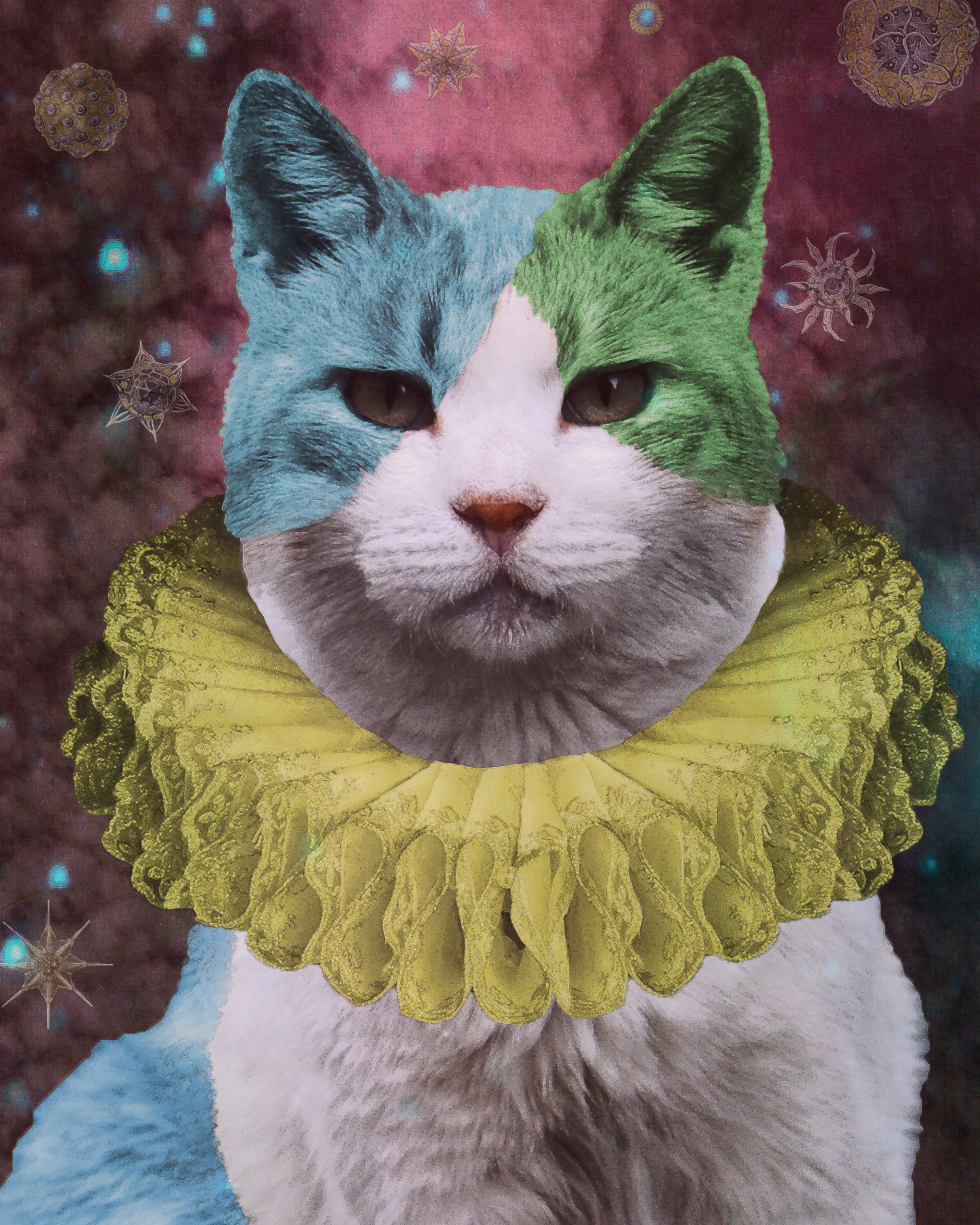 The Fool Tarot Card from the Deck of the New Orleans Tarot Cats