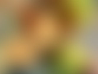 After Stage Two of Shame and Guilt comes Stage Three - Bargaining