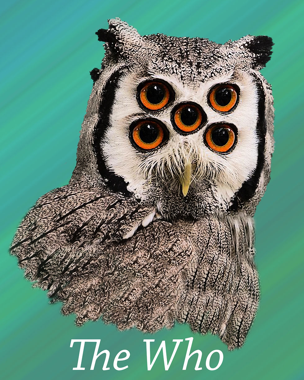 The Who - Great Horned Owl Animal Spirit