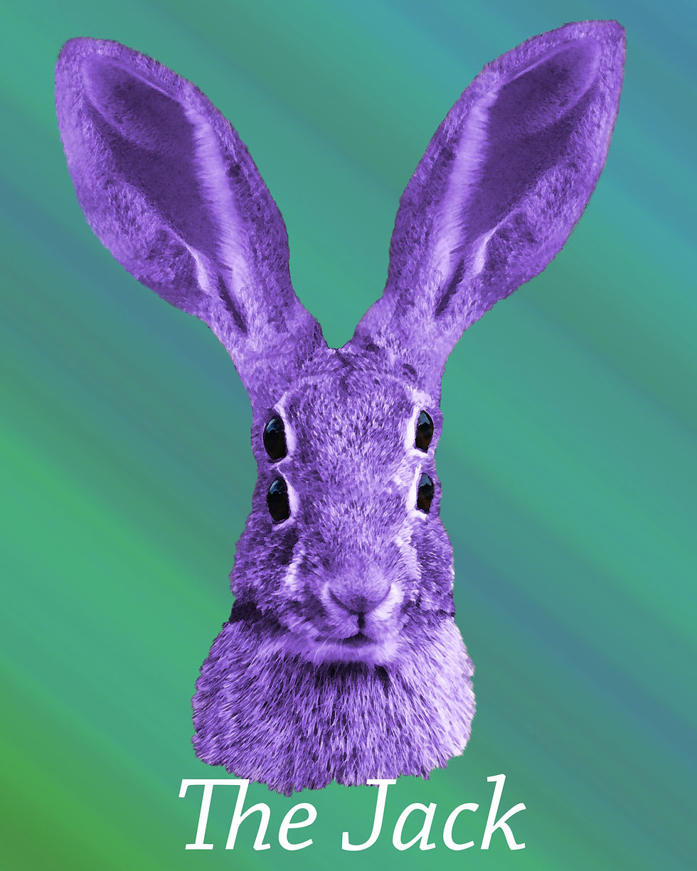 The Jack Rabbit Animal spirit