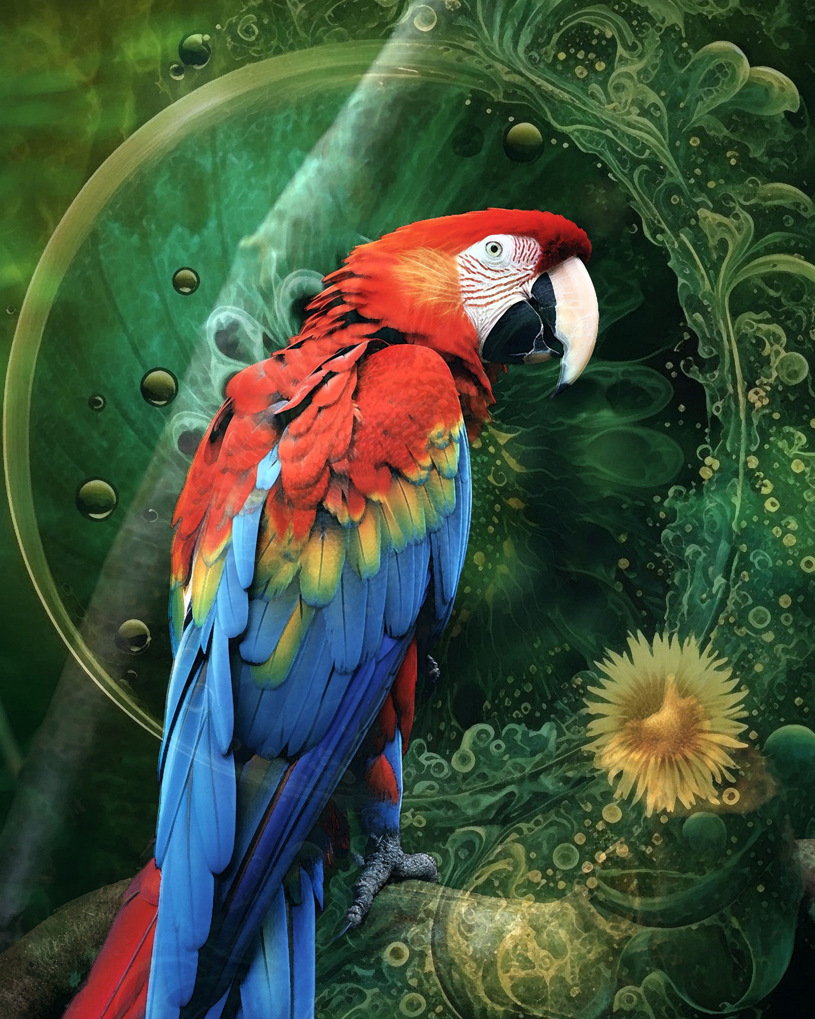 Perch of the Scarlet Macaw