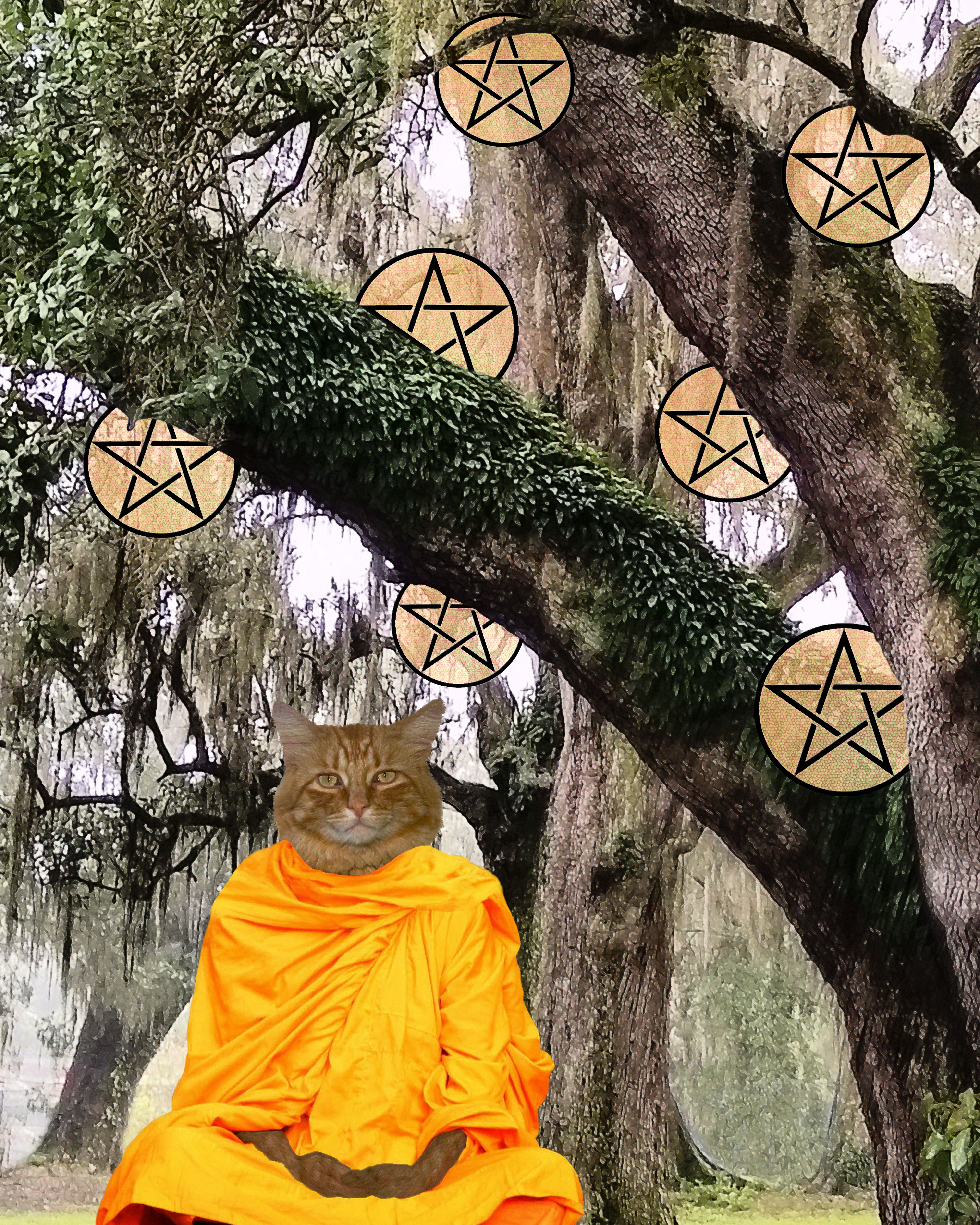 Seven of Pentacles Tarot Card from the Deck of the New Orleans Tarot Cats